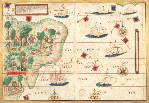 Mapa de Brasil | Lopo Homem | 1519