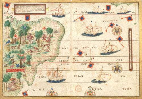 Map of Brazil | Lopo Homem | 1519