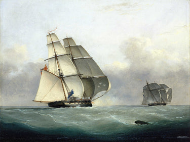 The Capture of the slaver Gabriel by HMS Acorn | Nicholas Matthews Condy | 1841