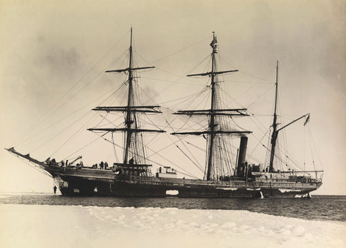 Terra Nova | 1911
